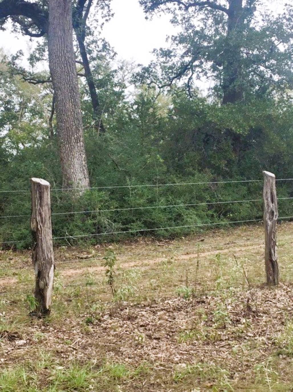 TBD Jack Rabbit Lane