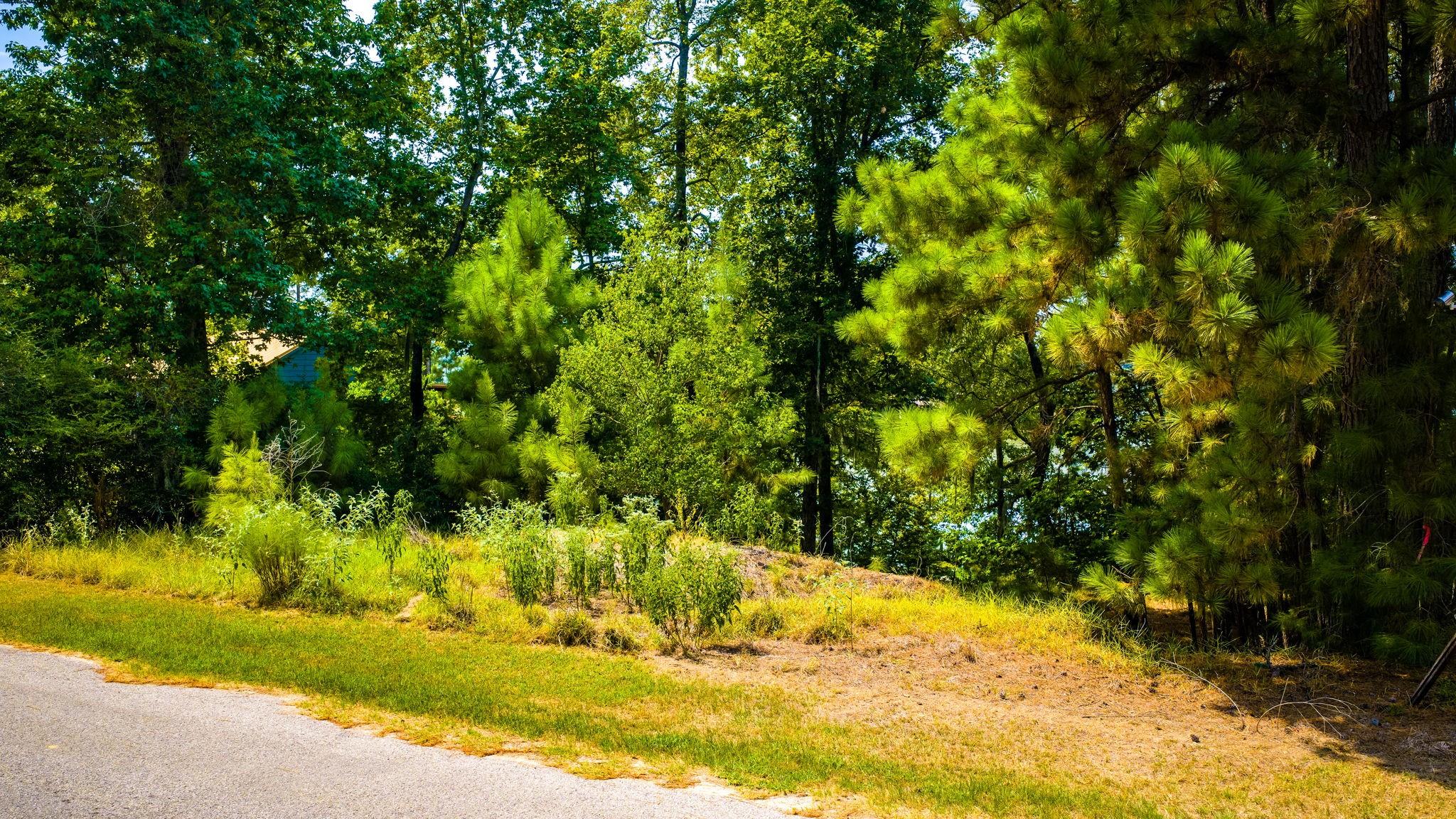 TBD Ridgewood Trail