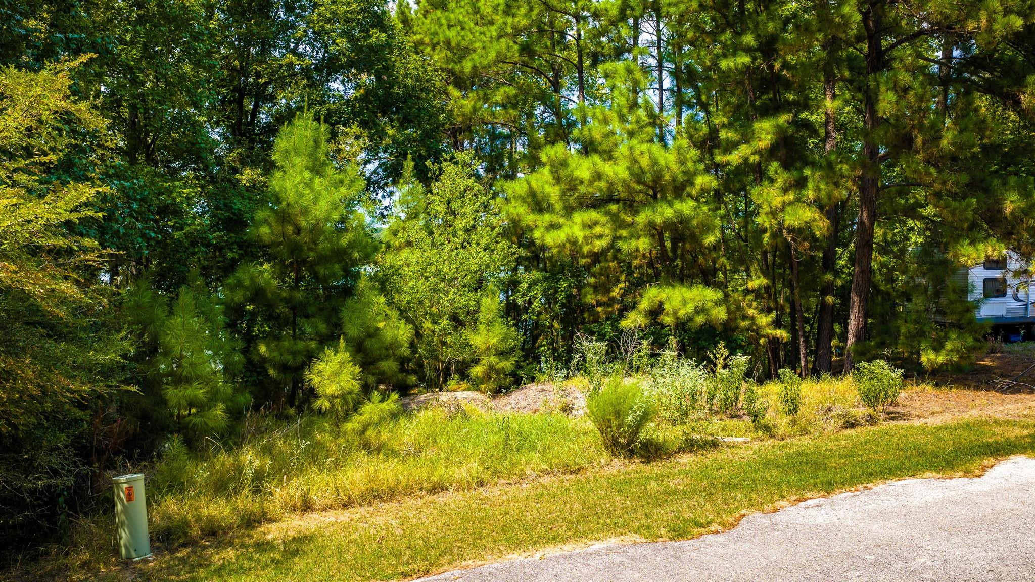 TBD Ridgewood Trail