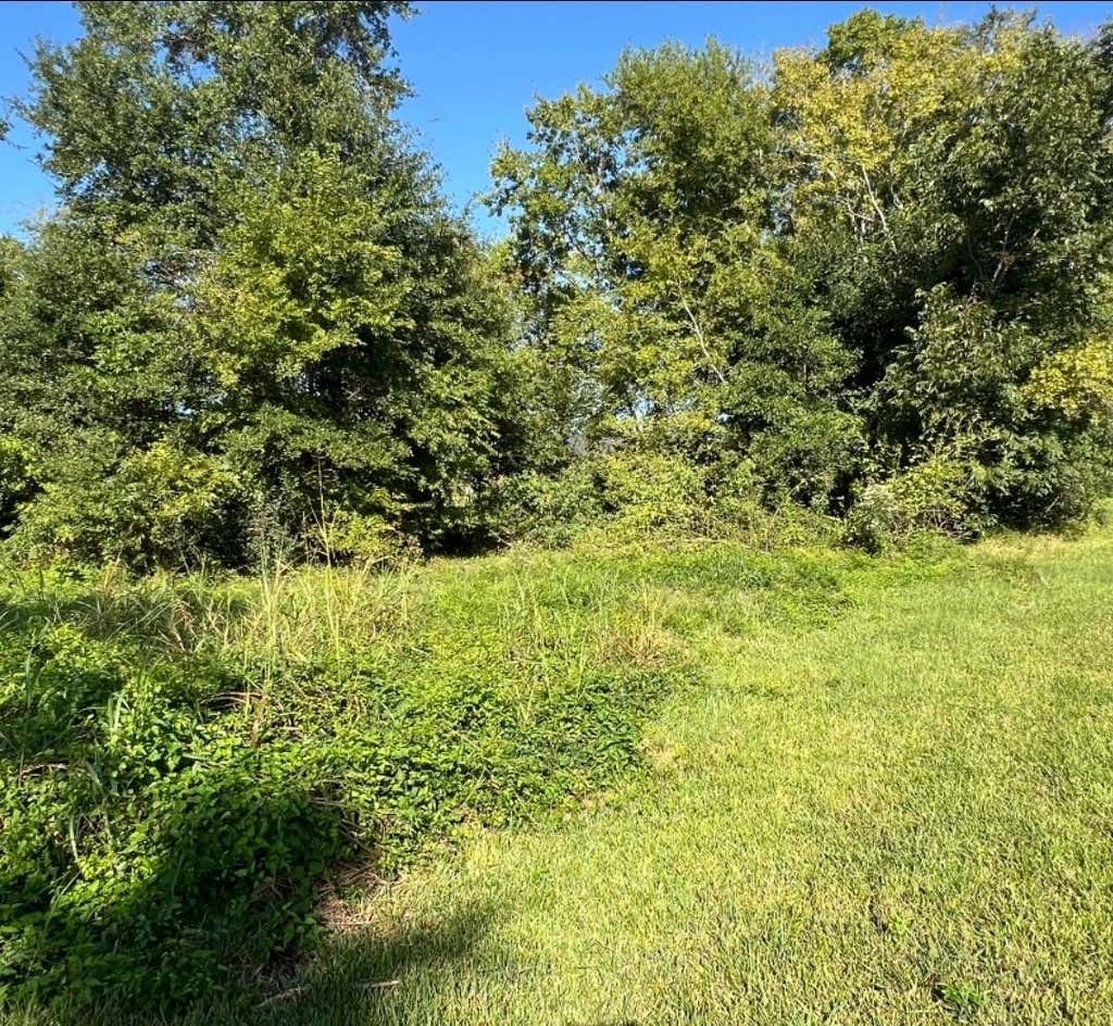 Photo of 1400 W Virginia Street, Beaumont, TX 77705 (MLS # 21624472)