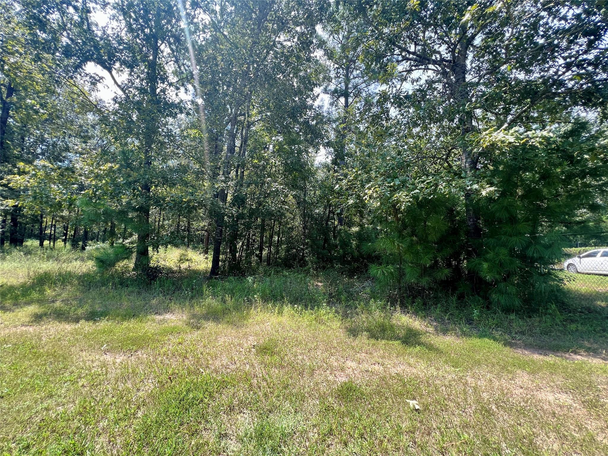 Photo 1 of 5 — TBD Hidden Oaks Drive, Point Blank, TX 77364