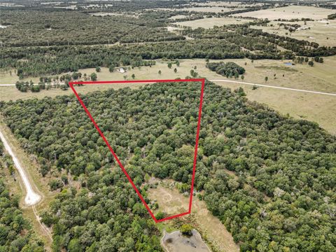 Photo of 1087 Buckhorn Creek Drive, Crockett, TX 75835 (MLS # 29014399) Photo of 1087 Buckhorn Creek Drive, Crockett, TX 75835 (MLS # 29014399)