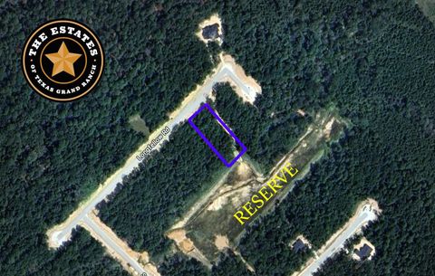 Photo of 156 Longfellow Road, New Waverly, TX 77358 (MLS # 42683119)