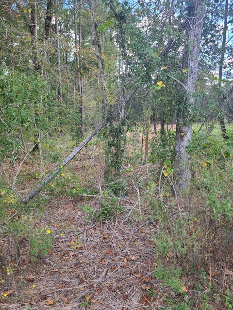 Photo of TBD Fostoria Tram, Cleveland, TX 77328 (MLS # 8200247)
