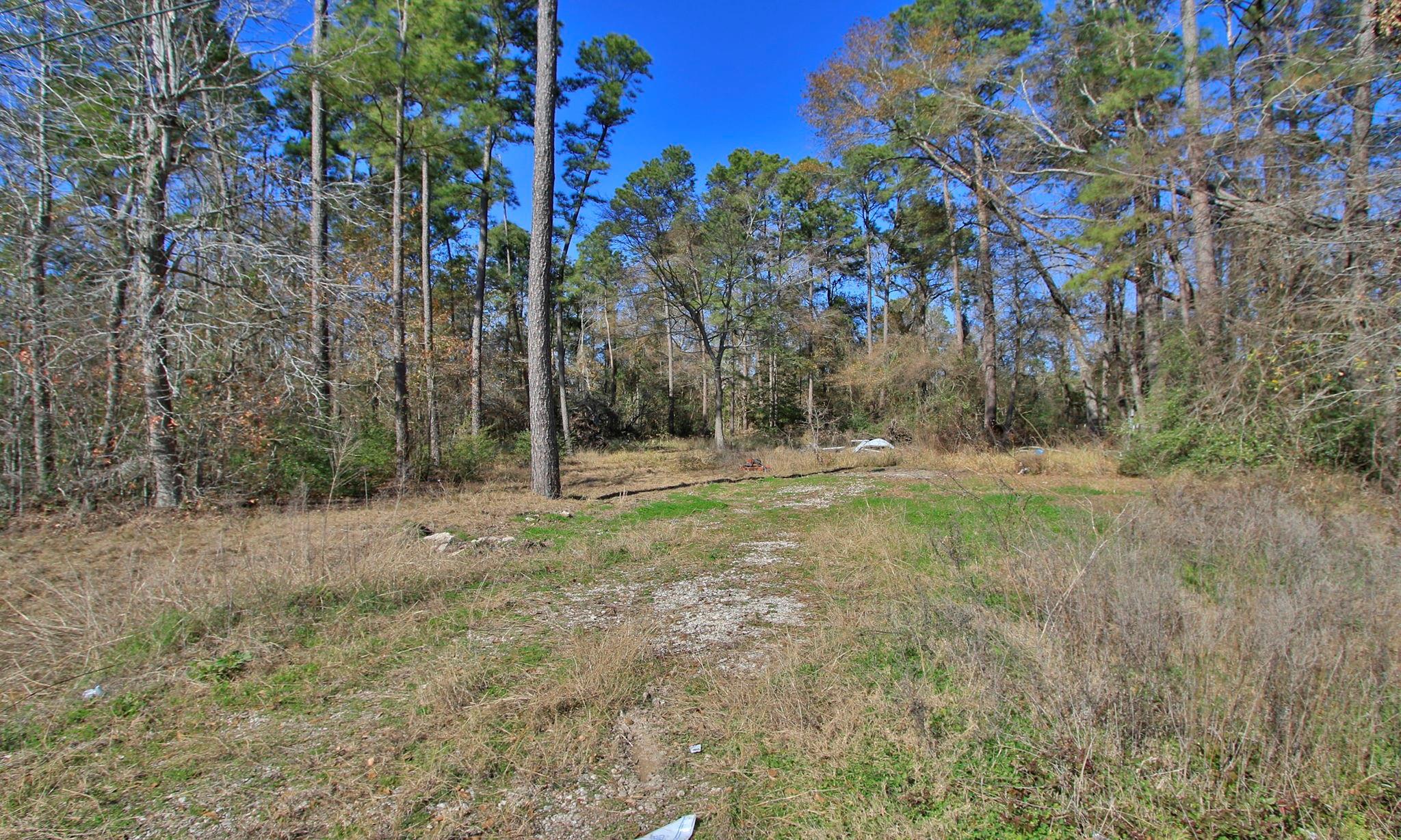 Porter, Texas 77365, United States, ,Land,Active,235636