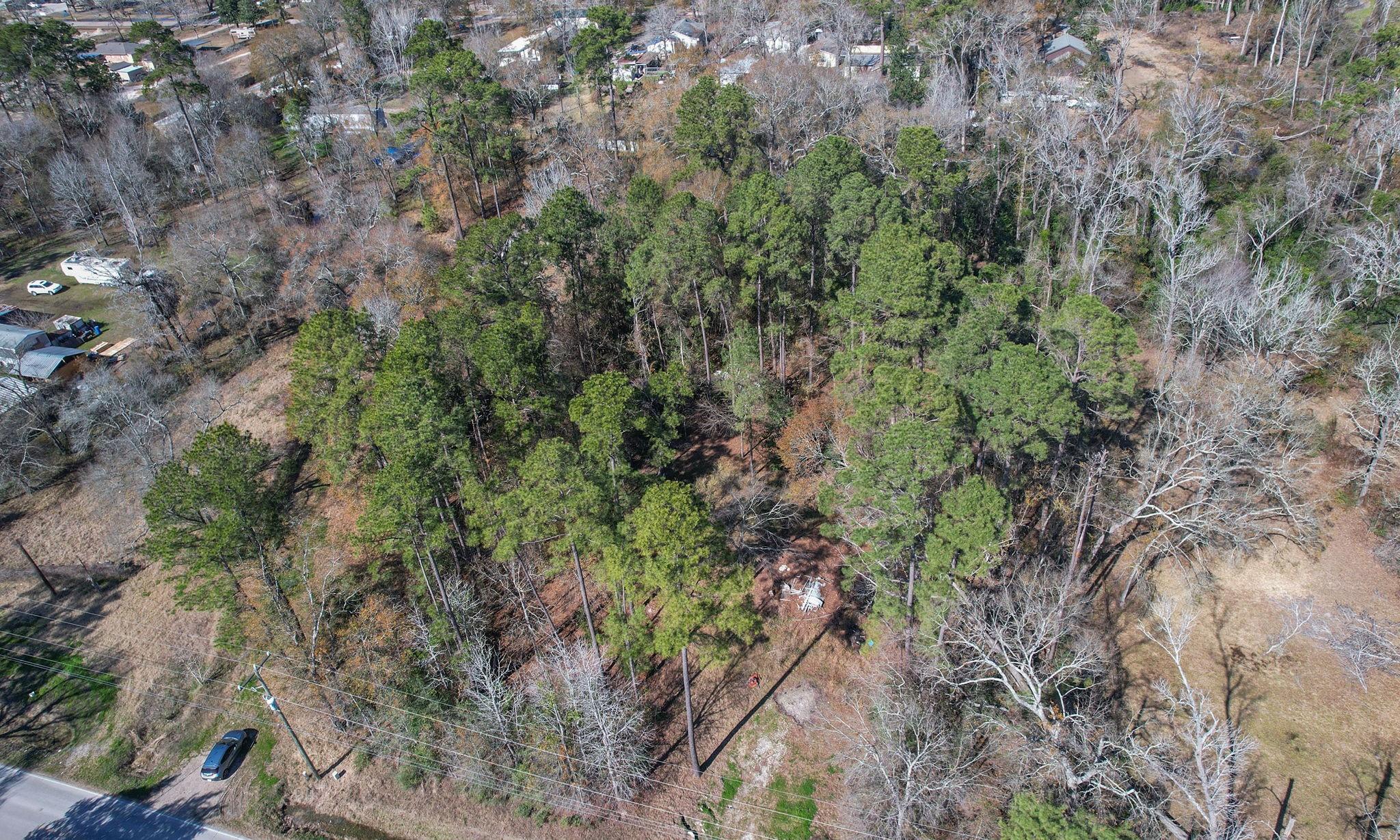 Porter, Texas 77365, United States, ,Land,Active,235636