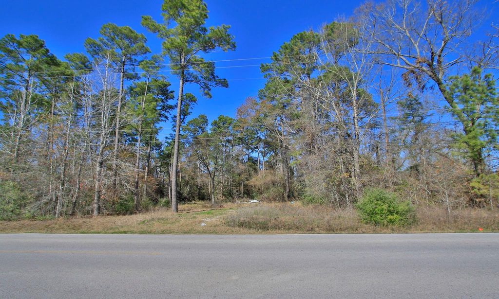 Photo of 22475 Adams Street, Porter, TX 77365 (MLS # 10203903)