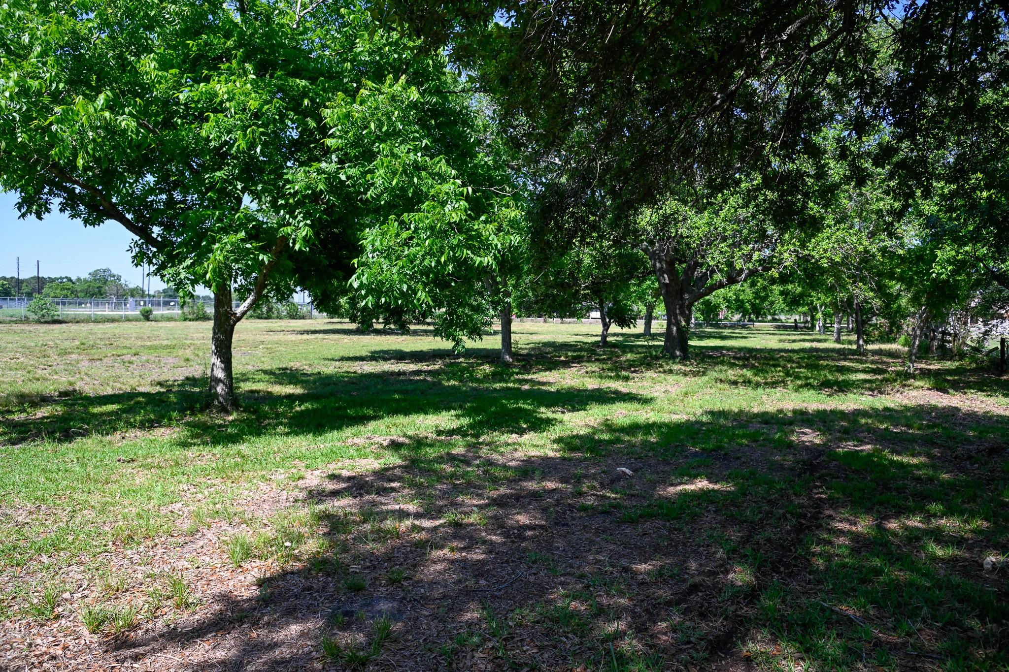 17215 County Road 831