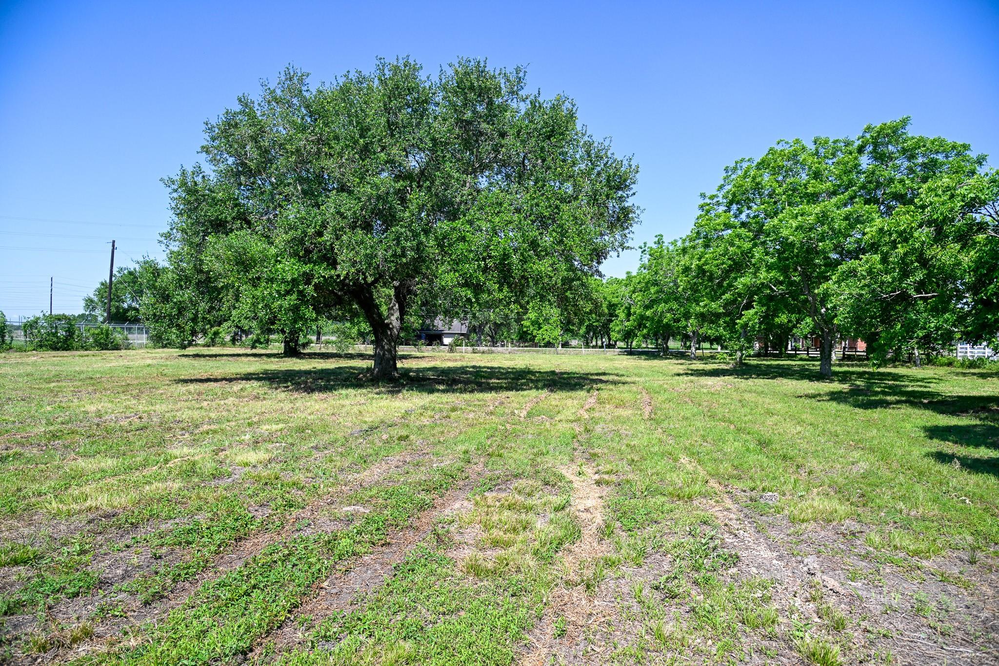 17215 County Road 831