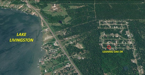 301 LEANING OAK DR, POINTBLANK, TX 77364 - Image c7483f4f397faa0dd2a31b01a63f2e5f/242770256