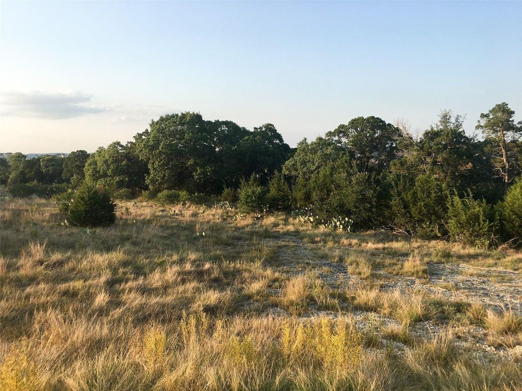 Photo of 113 Enigma Avenue, Spring Branch, TX 78070 (MLS # 89219193)