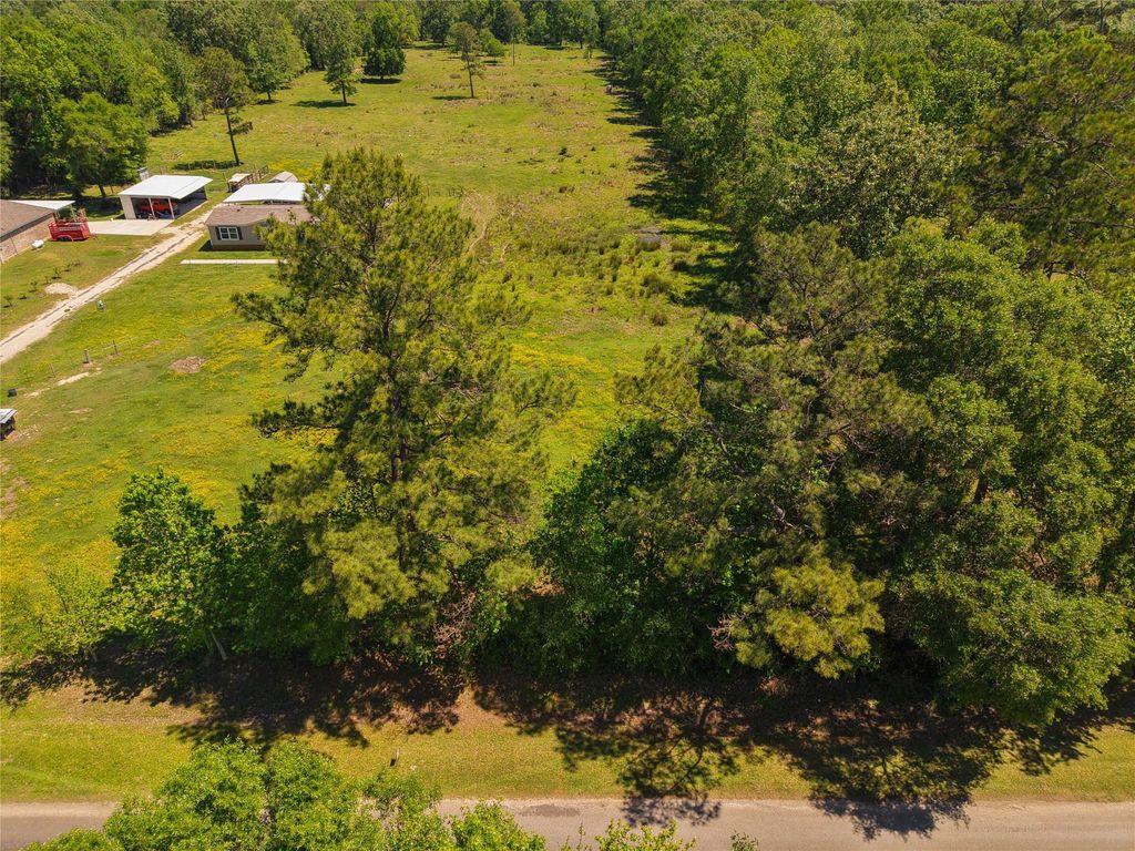Photo of 1013 County Road 2050, Hull, TX 77564 (MLS # 48491828)