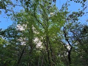 Photo 1 of 15 — 0 County Road 4710 Lot 465, Larue, TX 75770