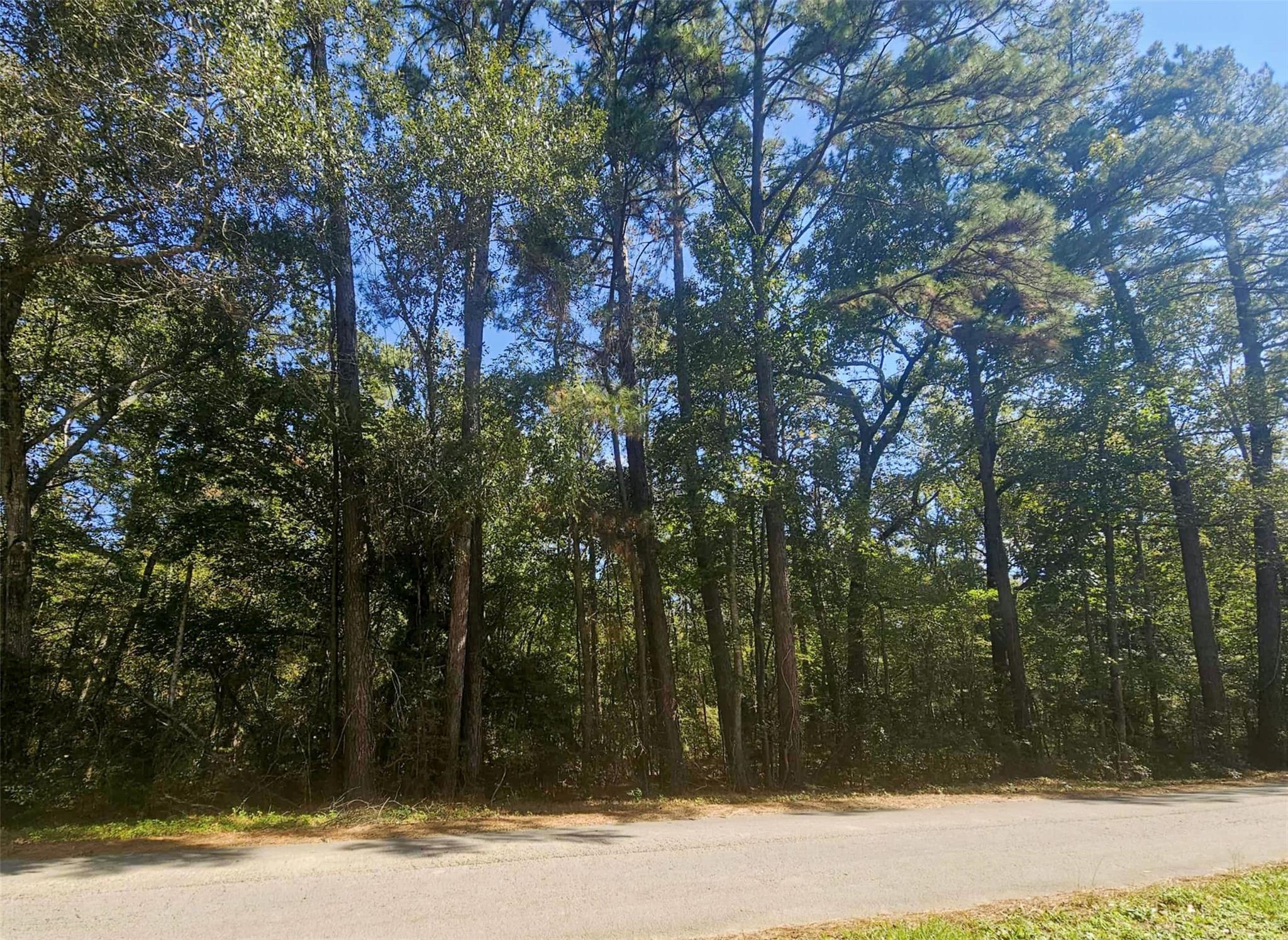 tbd Royal Springs Road