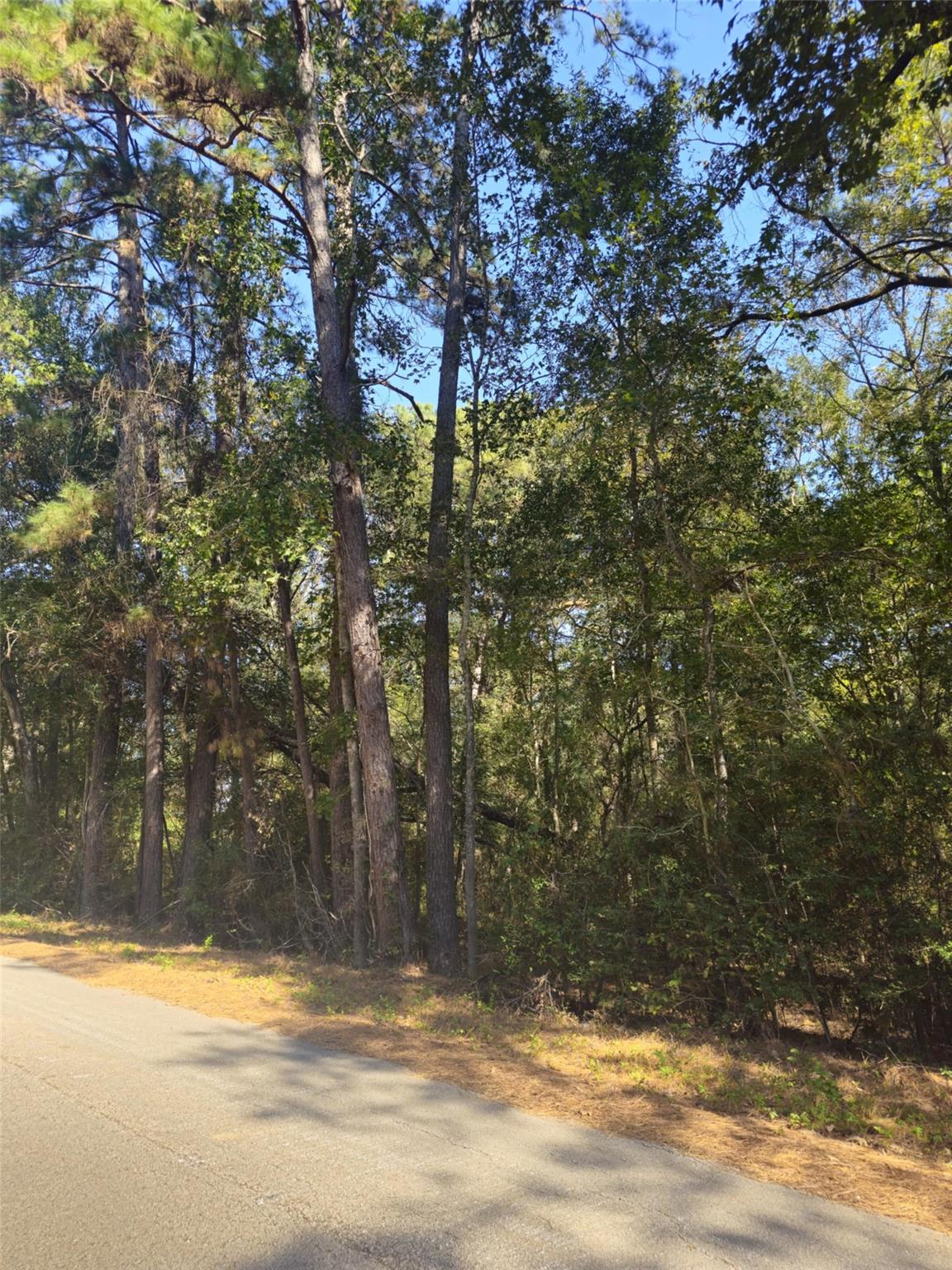 tbd Royal Springs Road