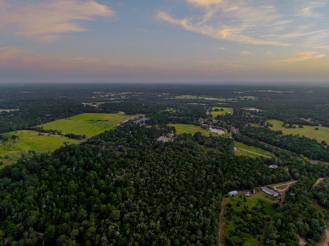Vacant Land For Sale - TBD Bernard Rd<br/> New Ulm, TX 78950