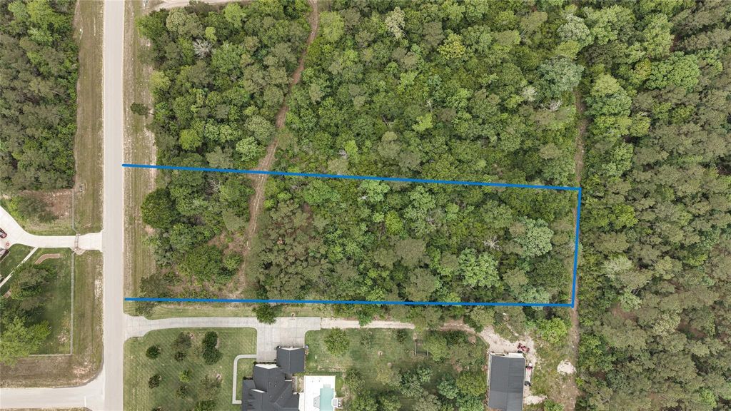 Photo of 10681 Ruger Road, Willis, TX 77378 (MLS # 5299932)