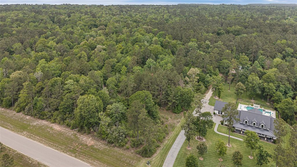 Photo of 10681 Ruger Road, Willis, TX 77378 (MLS # 5299932)