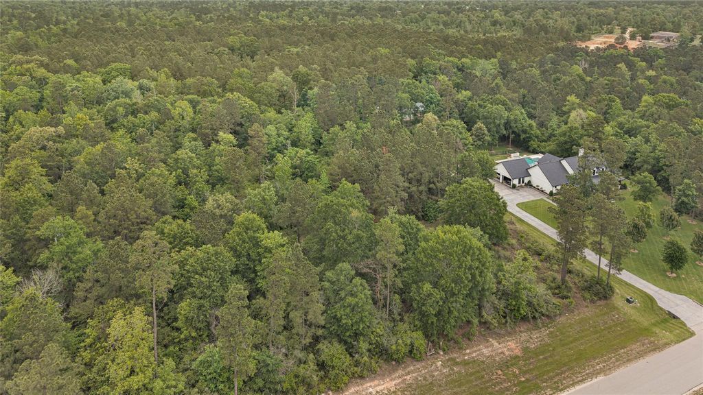 Photo of 10681 Ruger Road, Willis, TX 77378 (MLS # 5299932)