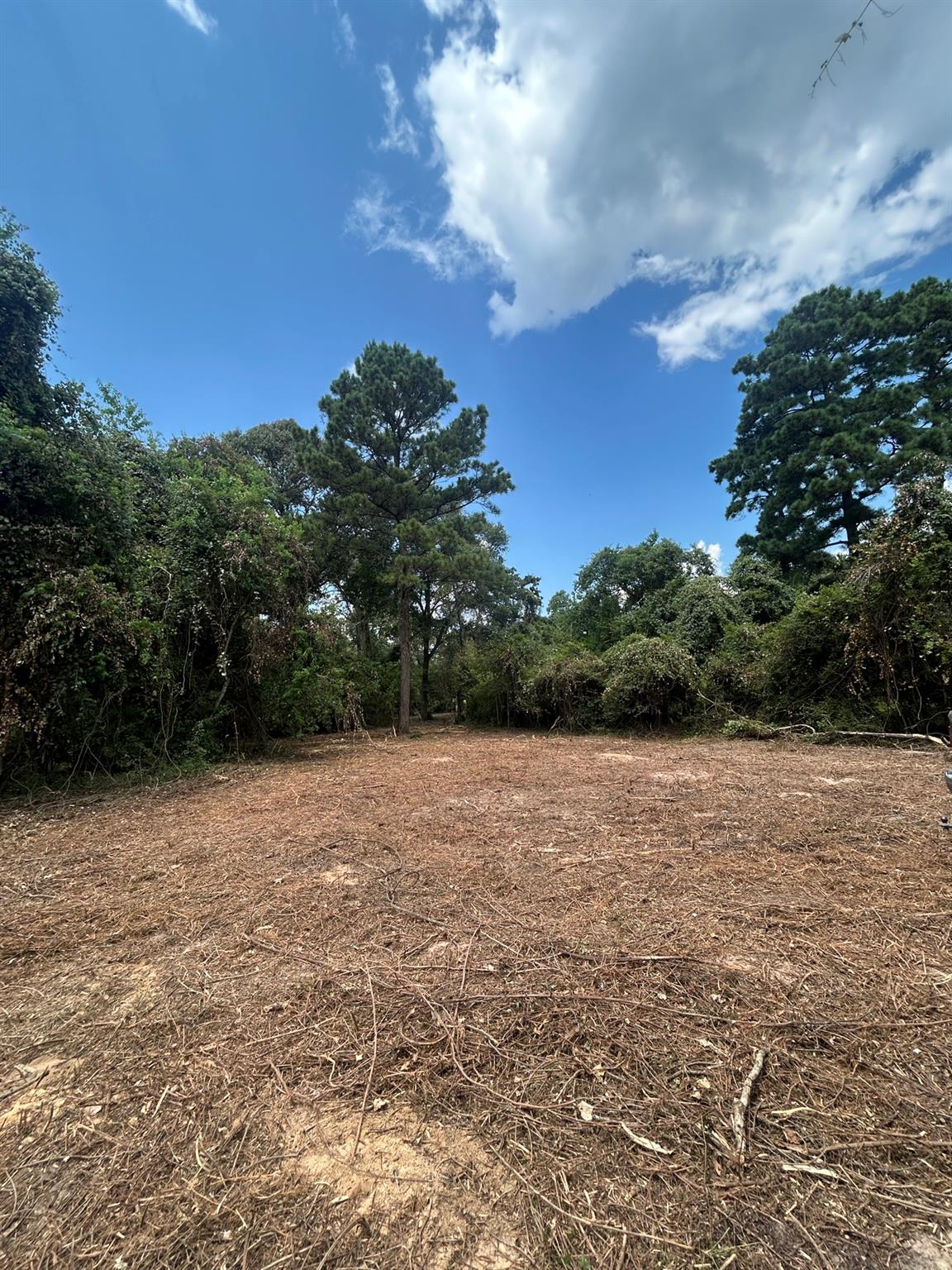 11919 Hickory Wood Street