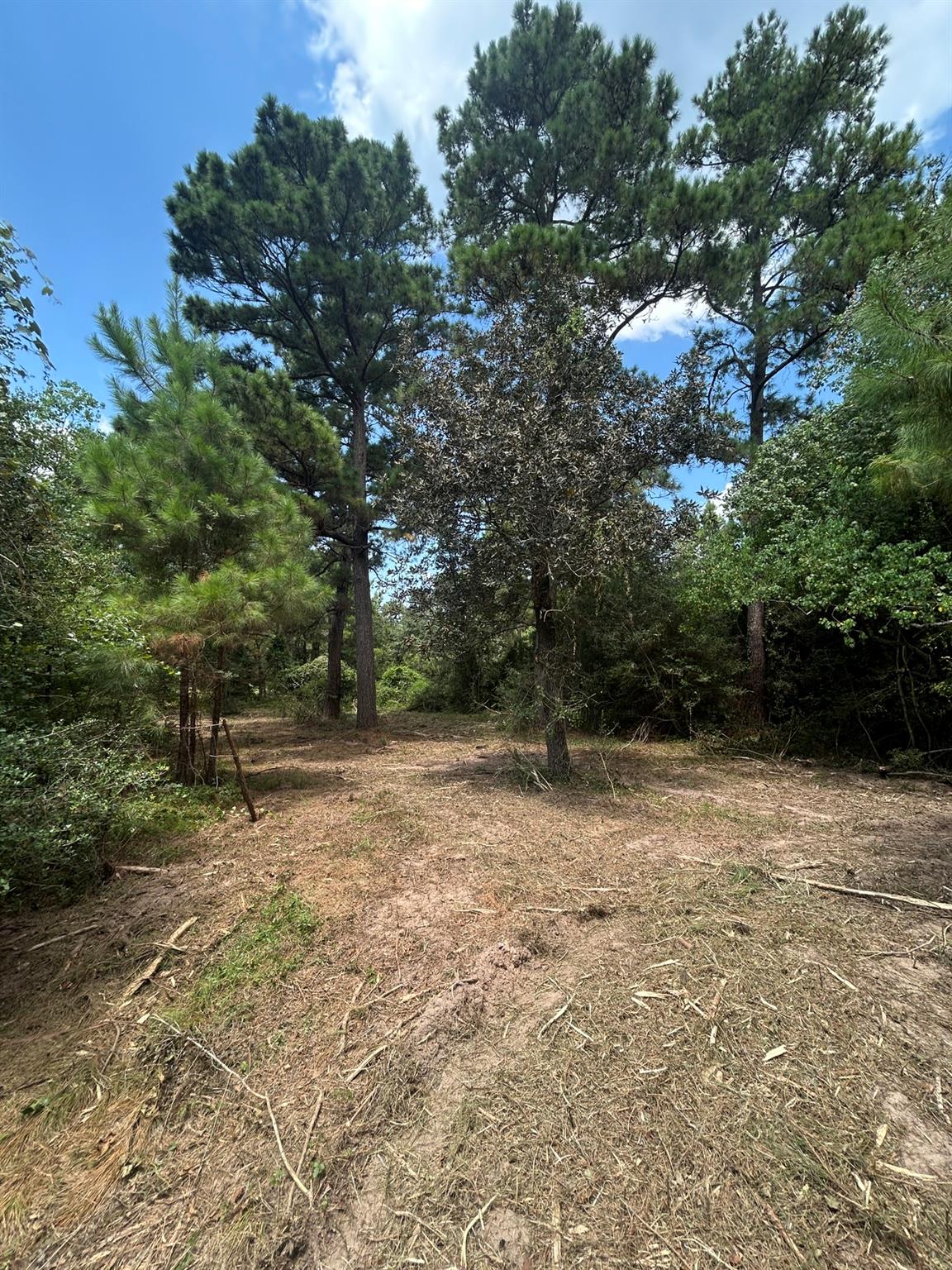 11919 Hickory Wood Street