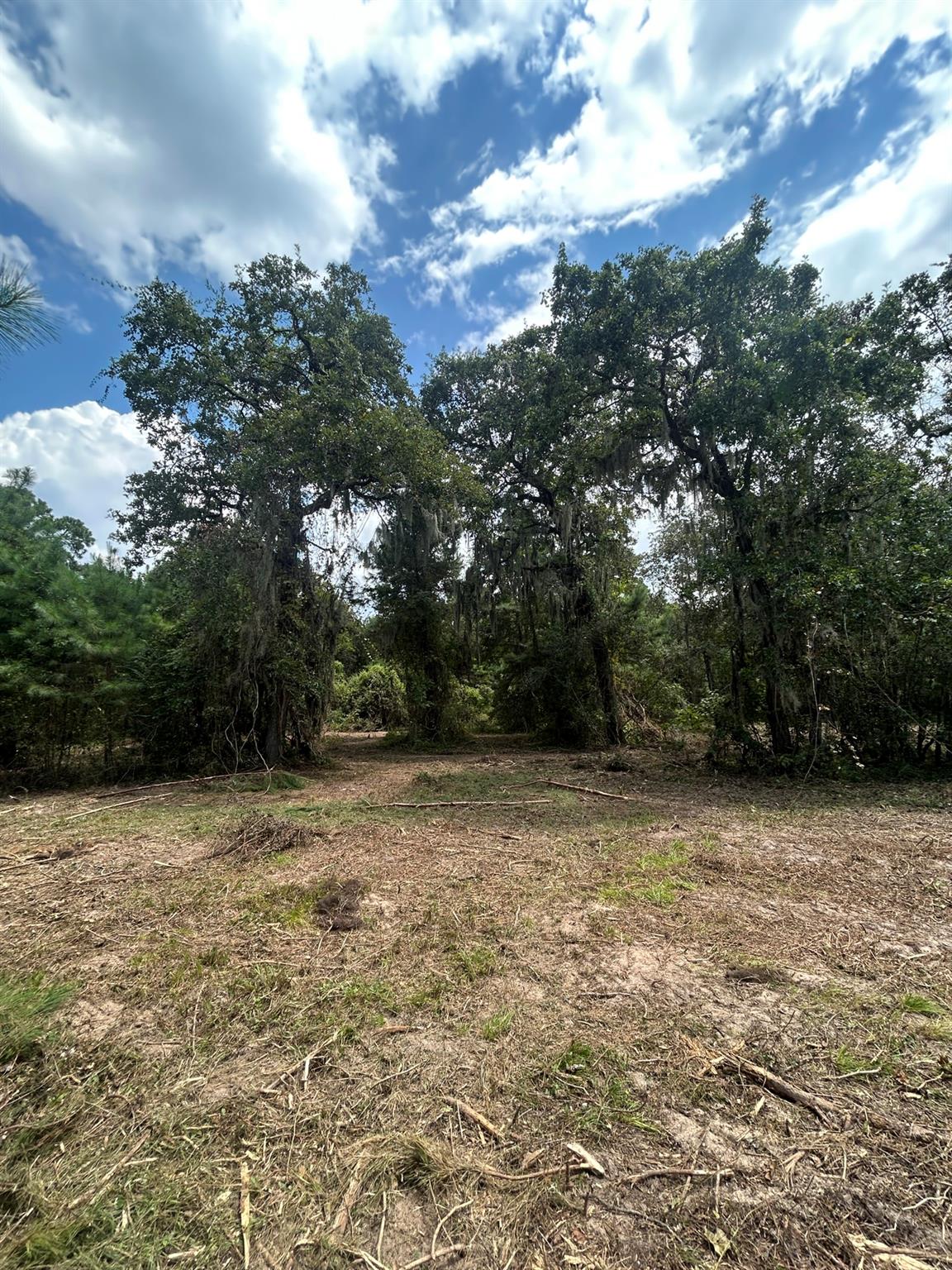 11919 Hickory Wood Street