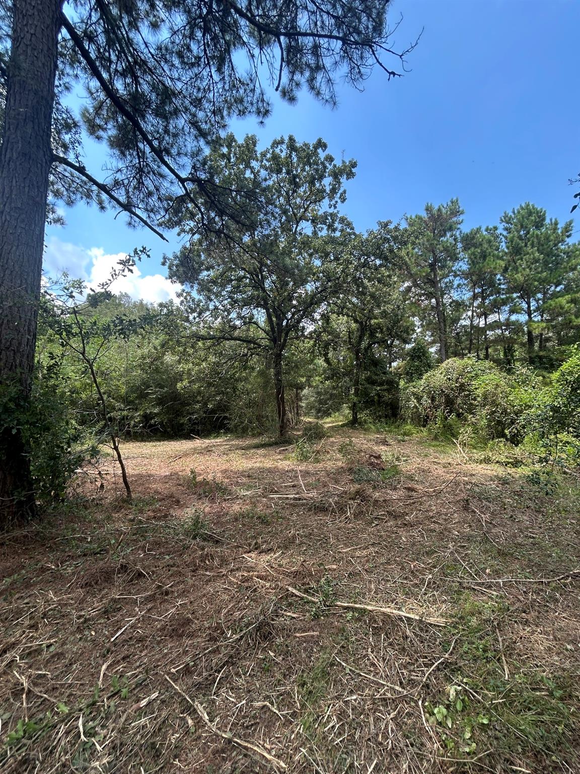 11919 Hickory Wood Street