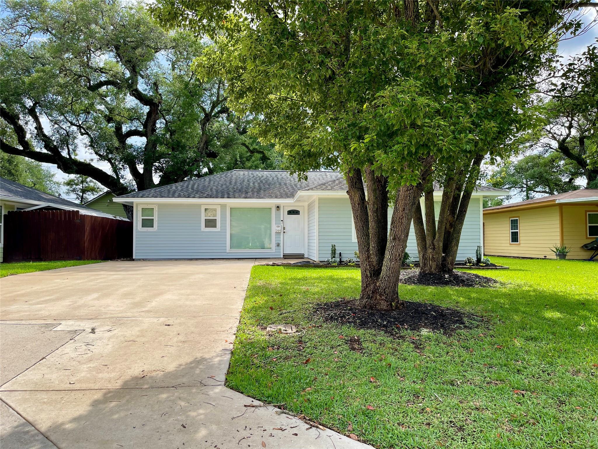 244 Caladium Street