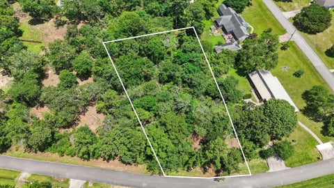 Photo of 31906 Pine Crossing, Magnolia, TX 77355 (MLS # 75265002)