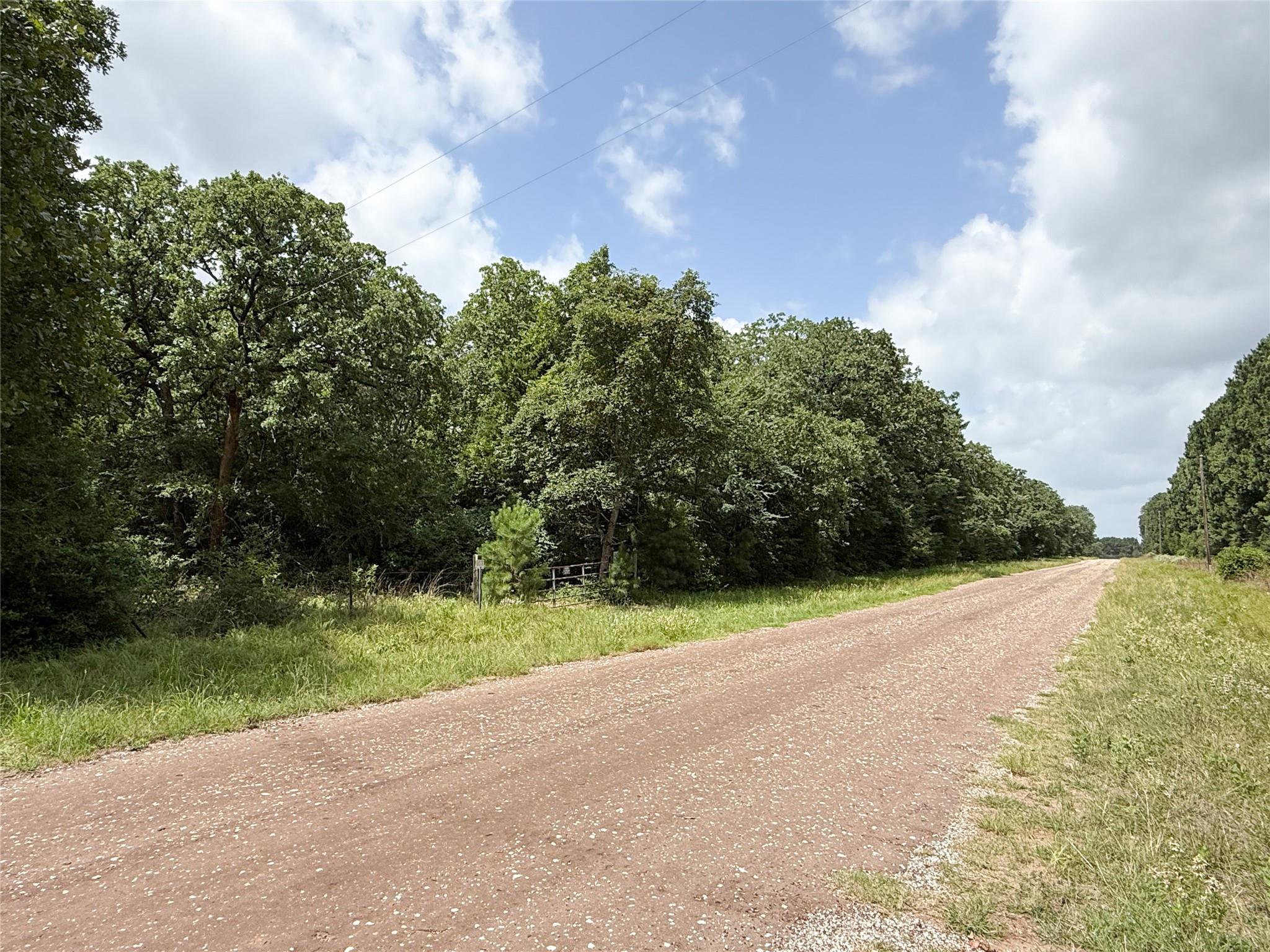 16316 County Road 224