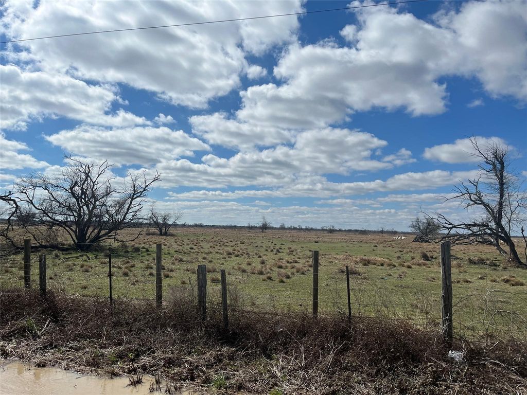 Photo of TBD Brumbelow Road, Needville, TX 77461 (MLS # 27242585)