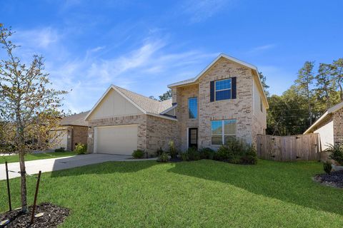 Photo of 23810 Maida View Trail Trl, New Caney, TX 77357 (MLS # 66984651)