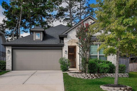 Photo of 151 Silva Creek Trl, Conroe, TX 77318 (MLS # 69279312)