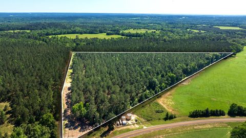 Photo of 0 00 Fm 3016, Grapeland, TX 75844 (MLS # 30551528)