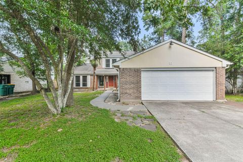 Photo of 12 Coralberry Road, Spring, TX 77381 (MLS # 71854648)