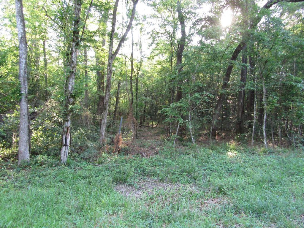 Photo of TBD Holly Lane, New Caney, TX 77357 (MLS # 10972005)