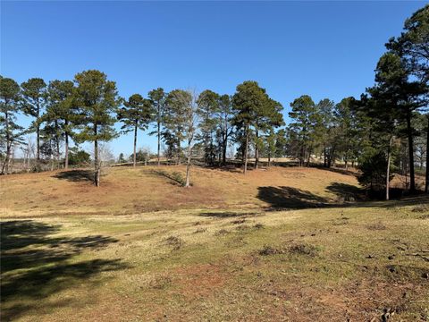 Photo of 3984 County Road 3100, San Augustine, TX 75972 (MLS # 88672555)