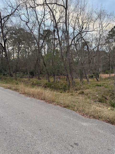 0 Pin Oak Drive Lane Houston TX 77336