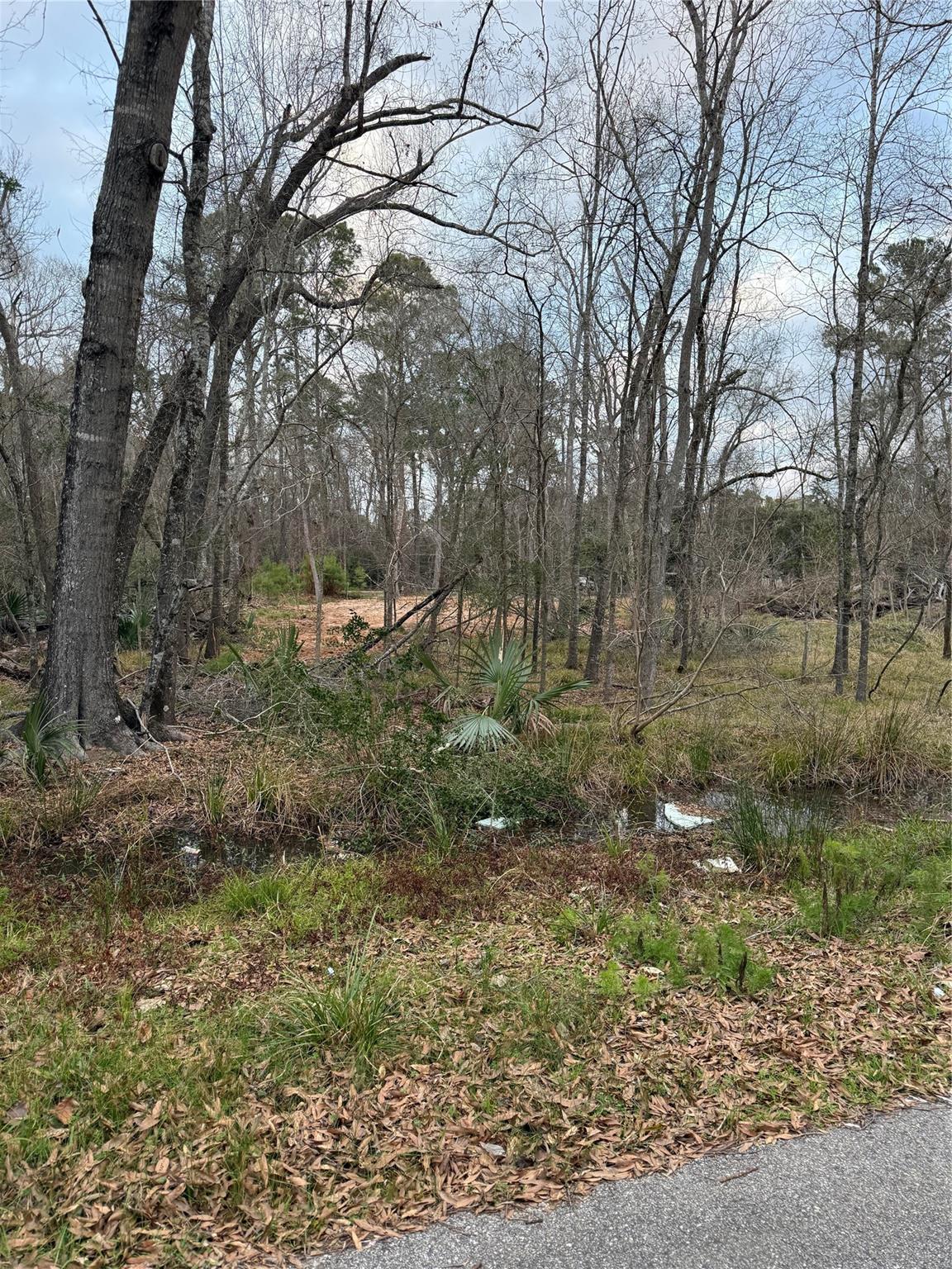 0 Pin Oak Drive Lane