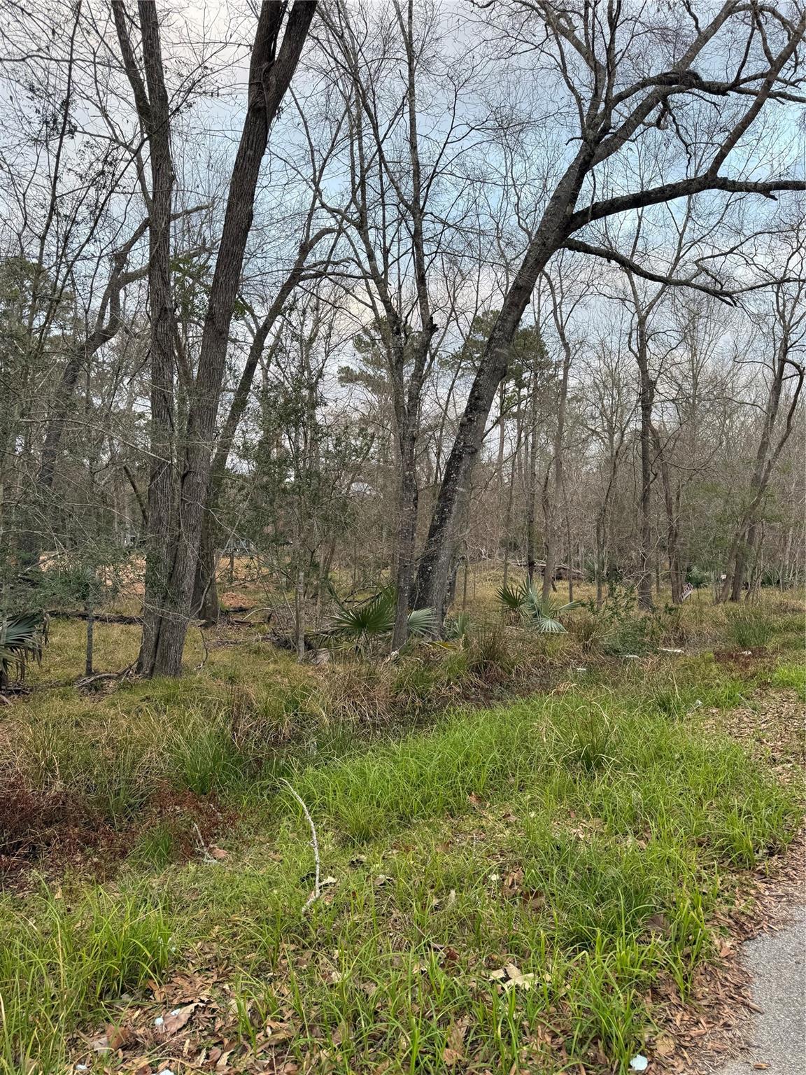 0 Pin Oak Drive Lane