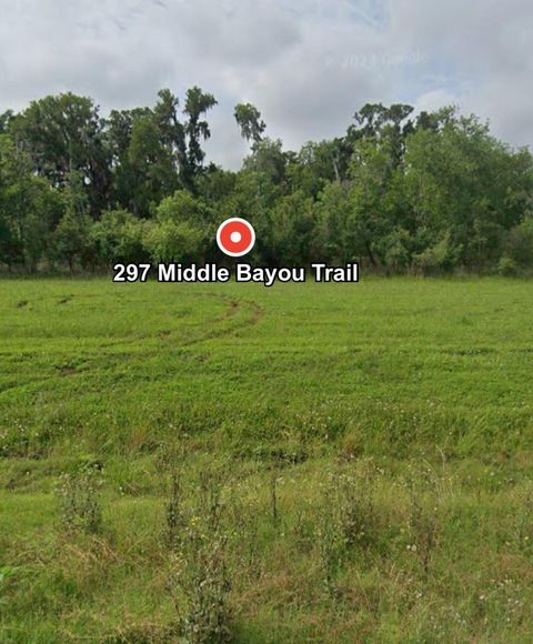 Photo of 297 Middle Bayou Trail, Angleton, TX 77515 (MLS # 68845362)