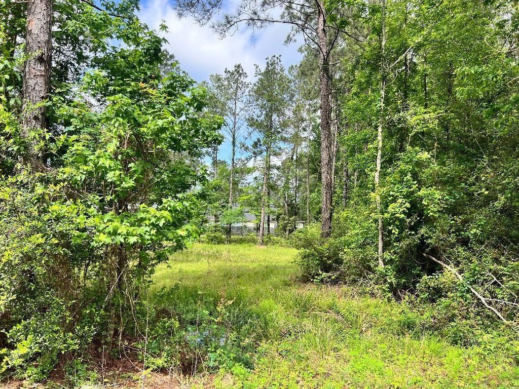 Photo of 19212 Cannock Court, New Caney, TX 77357 (MLS # 61062638)