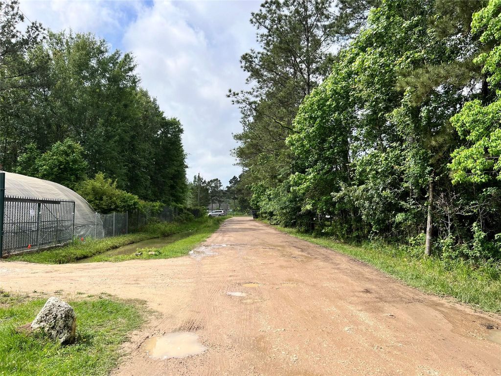 Photo of 19212 Cannock Court, New Caney, TX 77357 (MLS # 61062638)