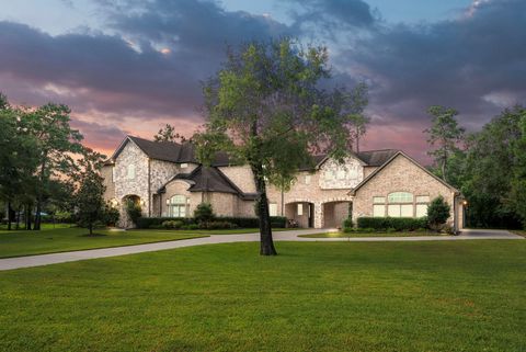 6306 Velvet Sky Court Spring TX 77386
