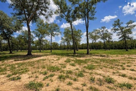 Vacant Land For Sale - 1510 County Road 632<br/> Dayton, TX 77535