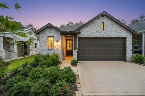 195 Lukewood Circle Conroe TX 77318