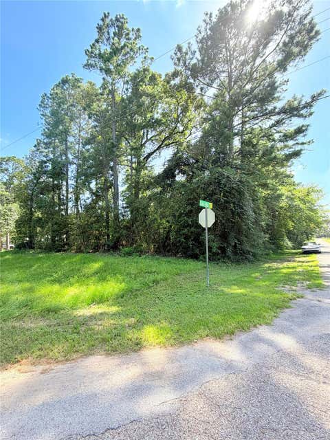 Photo of 194 Oak Hollow Boulevard, Magnolia, TX 77355 (MLS # 35732214)