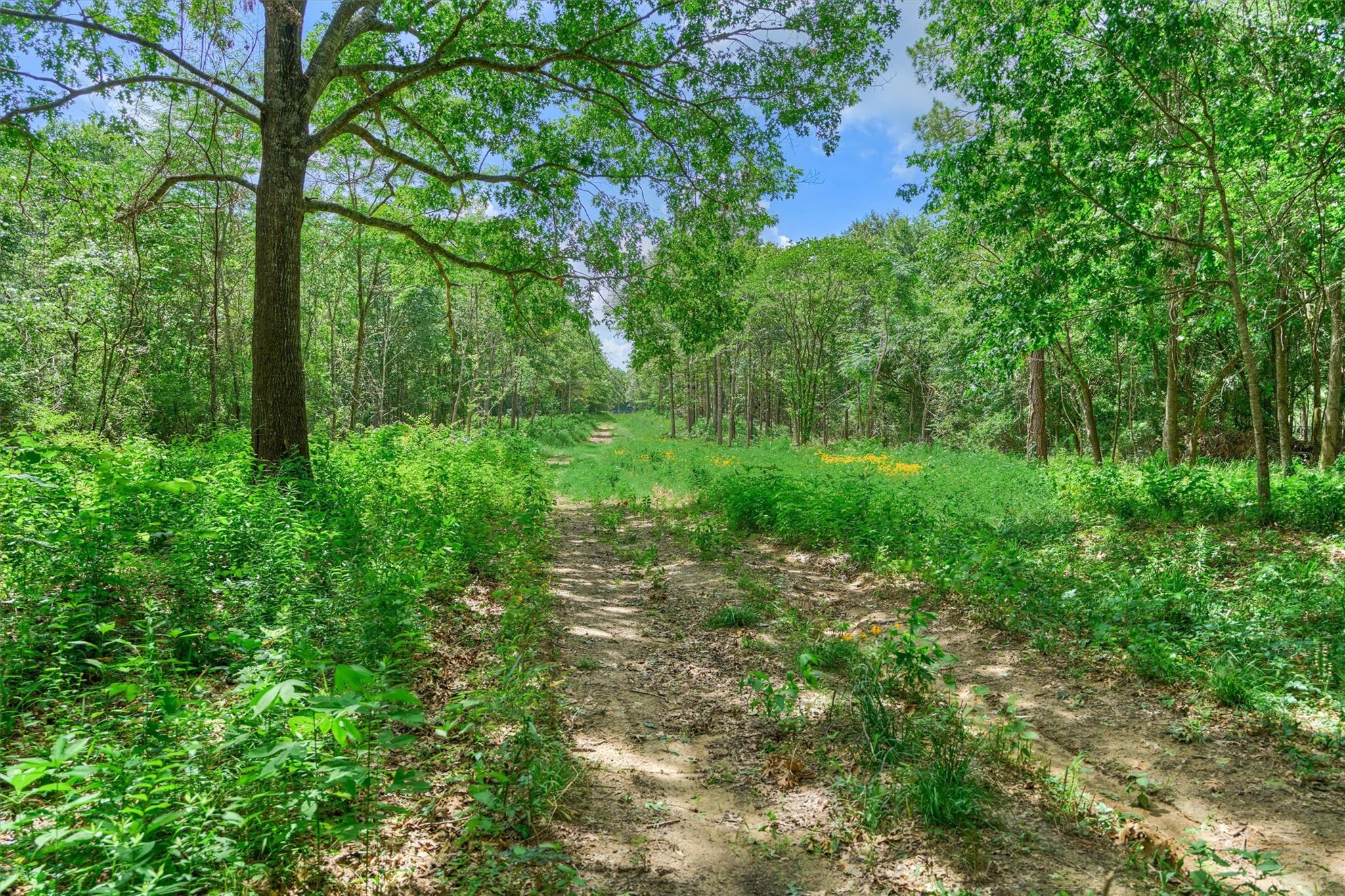 Tract C Sharp View Road