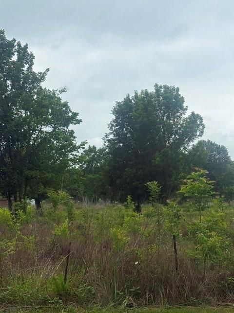 Photo of 0 County Road 2500, Liberty, TX 77575 (MLS # 7453231)