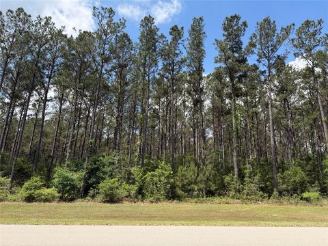 Photo of 15693 Wooded Trail Way, Willis, TX 77378 (MLS # 49126715)